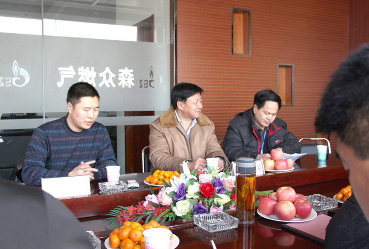 林口县政府与南京佳晨生态旅游项目有限公司燃气项目洽谈.png